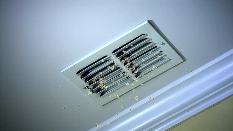 Best HVAC Maintenance and Cleaning  in Orange Grove, TX